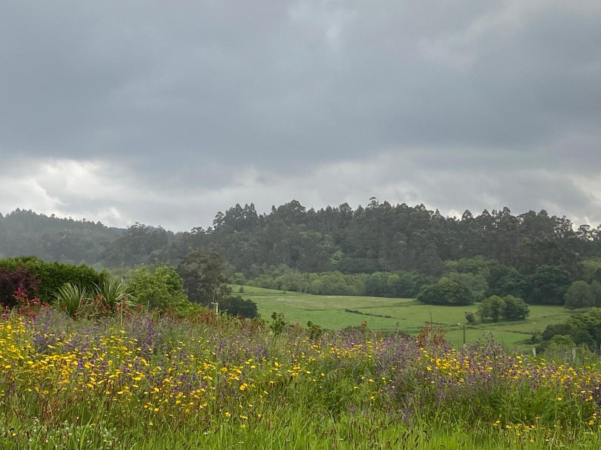 Casa Vanguardista En El Campo Cerca De Santiago Ποντεβέντρα Εξωτερικό φωτογραφία